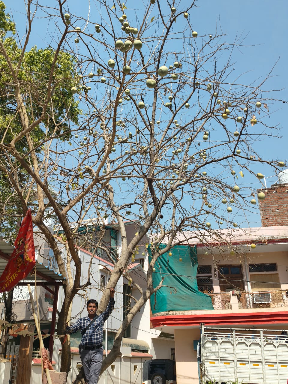Sujariti Programmes